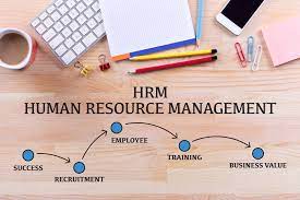 human resources courses online