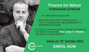 online finance courses with certificates