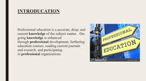 professional education